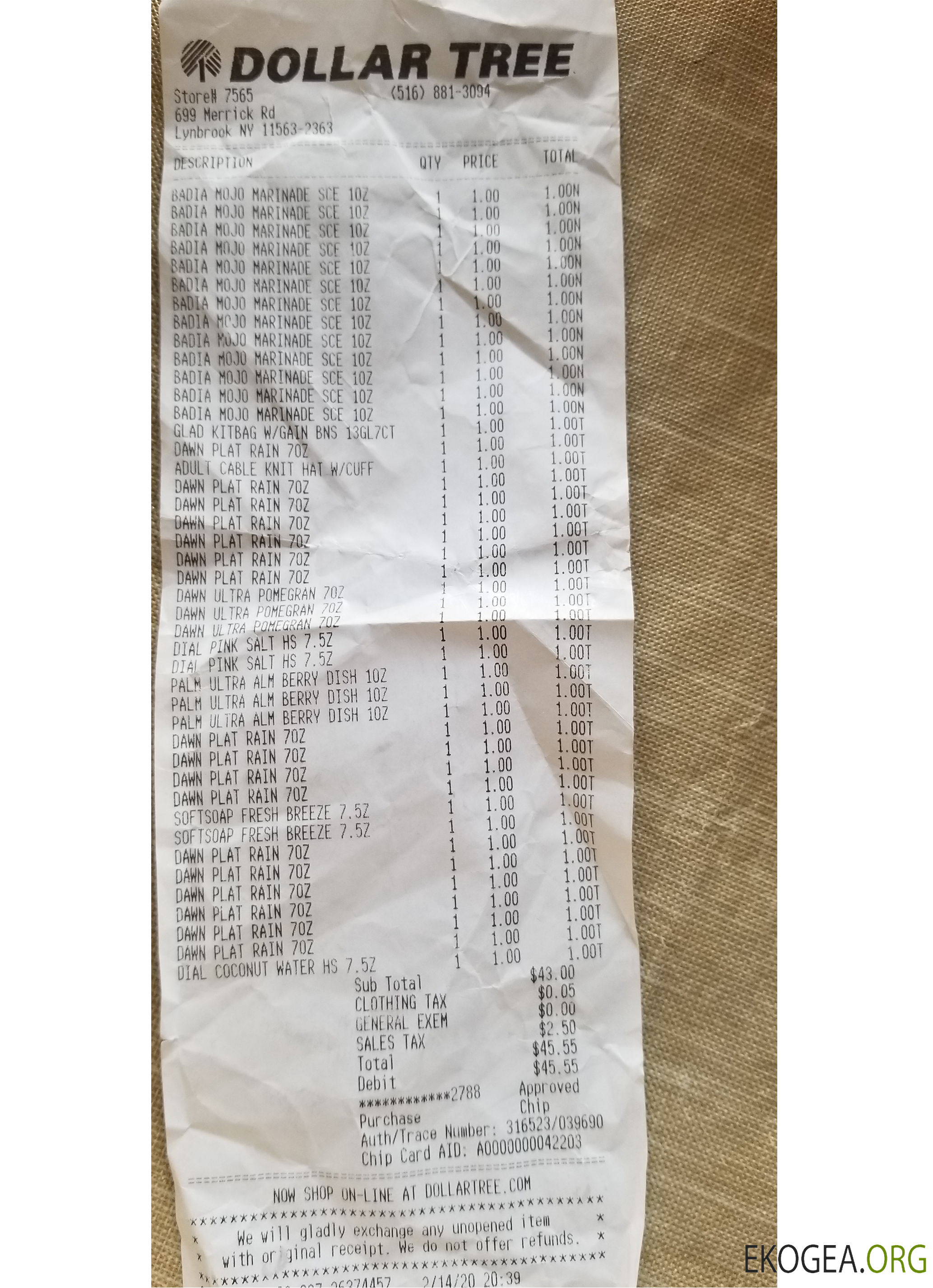 Chèque du magasin d'arbres à un dollar